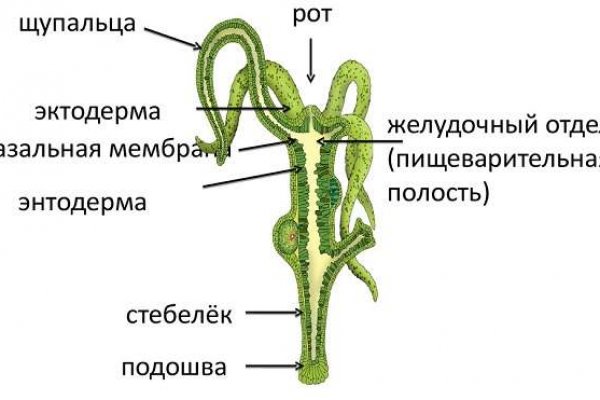 Ссылка омг браузер