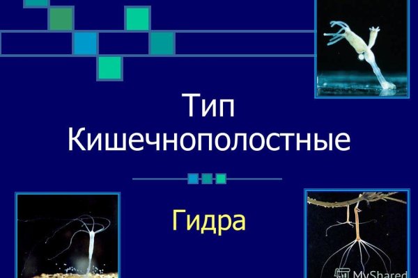Кракен сайт как выглядит