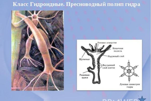 Кракен сайт это