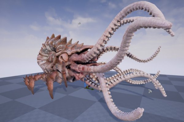 Kraken20at