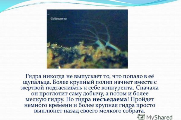 Кракен ссылка kraken dark link