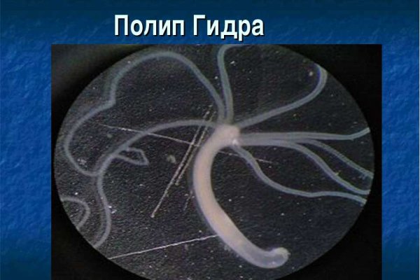 Kraken наркотики сайт