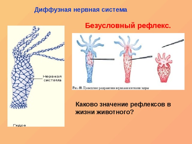Кракен купить меф