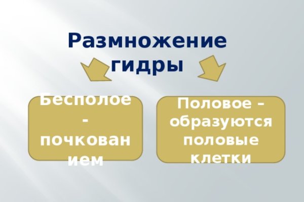 Kra35.cc