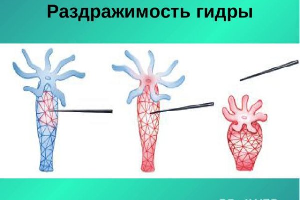 Почему кракен перестал работать
